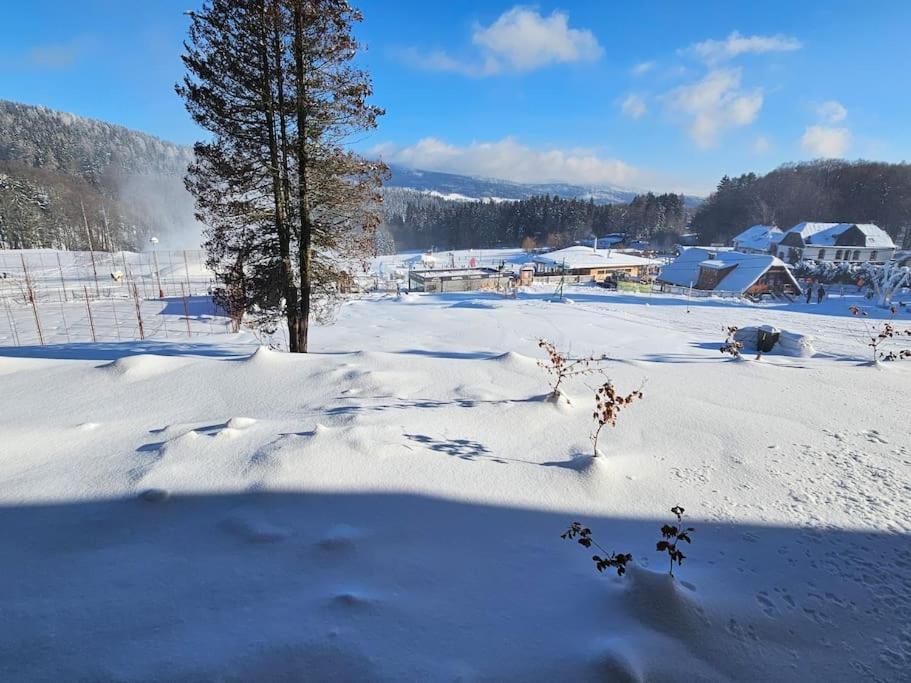 Superior S Terasou 2 - Ski&bike, Apartament *